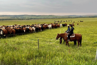 Ohrožené ekosystémy jsou všude po celém světě
