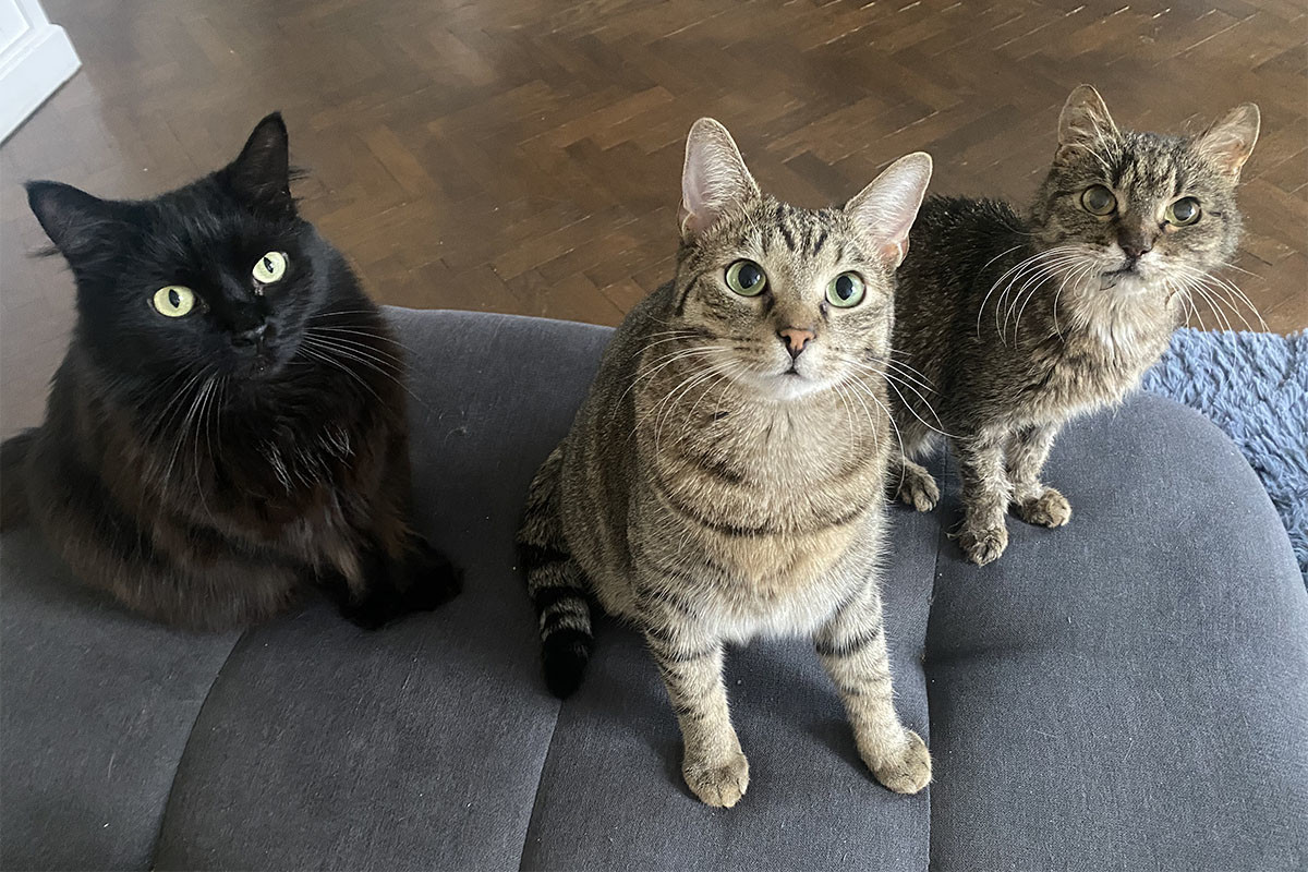 Pelliccia da Donna - Nero