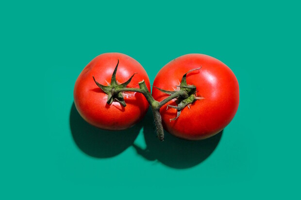 Záhada ztraceného rajčete. Na ISS jej hledali téměř rok