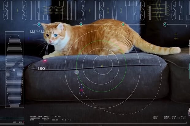 V hlavní roli kočka. NASA ukazuje, jak umí přenášet video z vesmíru pomocí laseru