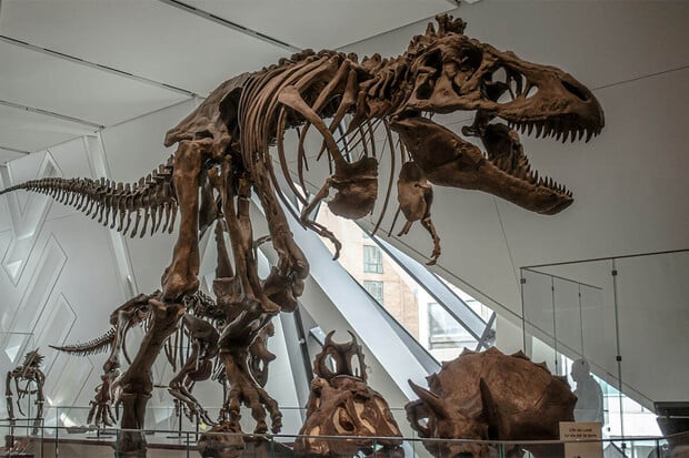 Uplynulo 200 let od popsání prvního dinosaura. Přinesl nový pohled na historii
