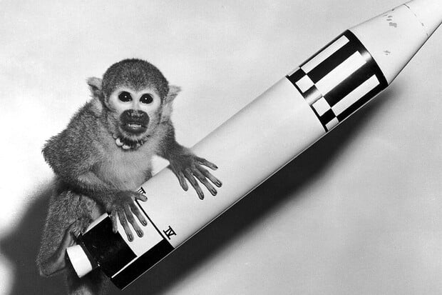 Uplynulo 65 let od vypuštění dvou opic, které jako první přežily let do vesmíru