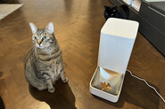 Recenze Xiaomi Smart Pet Food Feeder – Každá porce pod kontrolou – vždy a všude