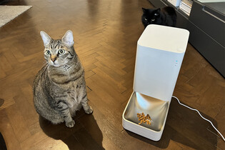Xiaomi Smart Pet Food Feeder