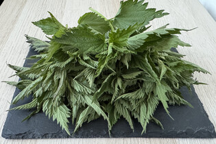 Zázračná síla kopřiv: pomohou se zdravím, vlasy i v kuchyni. Jak je využít?