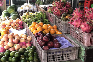 Je rostlinná strava automaticky udržitelnější? Neplatí to u všech potravin