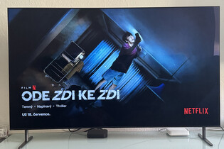 Víkend na streamu: rodinná komedie Ptáci stěhováci a korejské drama Ode zdi ke zdi