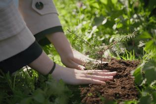 Umřít a neškodit. Ve světě zkoušejí houbové rakve. Jaký je váš názor?
