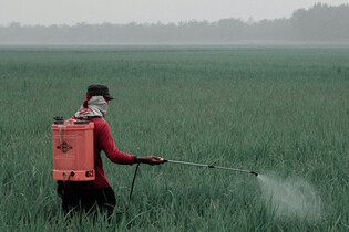 DDT je oslavované i zatracované, ale jeho kariéra nejspíše ještě neskončila
