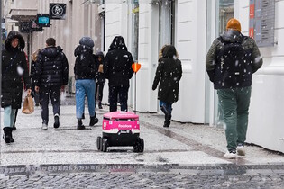 V Karlíně vám hamburger může přivézt tento robot 