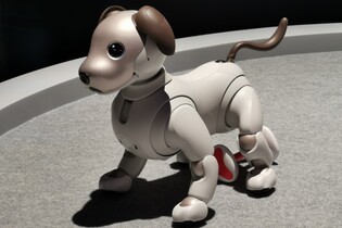 Pohráli jsme si s robotickým pejskem Aibem od Sony. Je to sympaťák