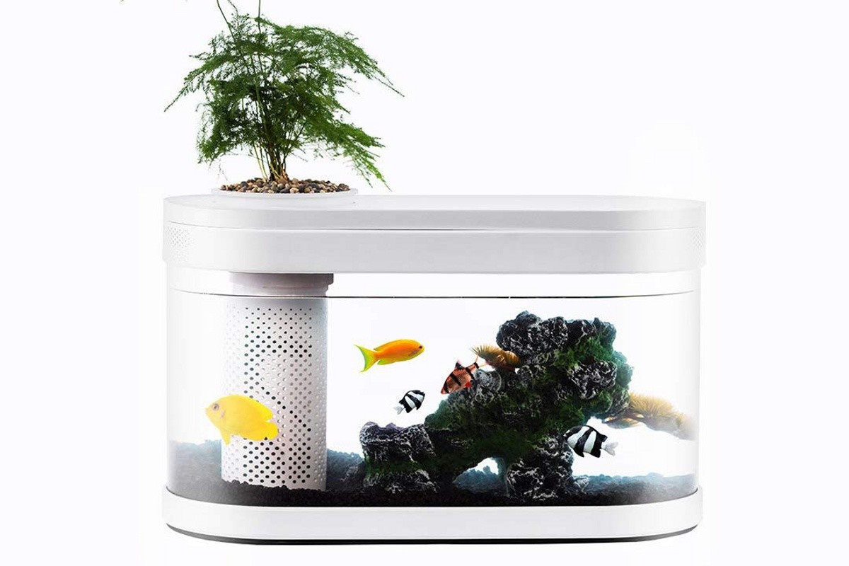 Xiaomi fish. Аквариум Xiaomi Geometry Fish Tank Aquaponics ecosystem (c180). Аквариум ксиоми Акваферма. Аквариум Xiaomi descriptive Geometry. Аквариум Xiaomi descriptive Geometry c180 Smart Fish Tank.