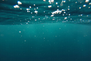 Posádka ponorky Titan znala rizika při ponoru k Titaniku, uvedla pracovnice OceanGate