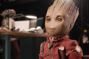 Groot bude mít svůj vlastní seriál na Disney+ už v srpnu