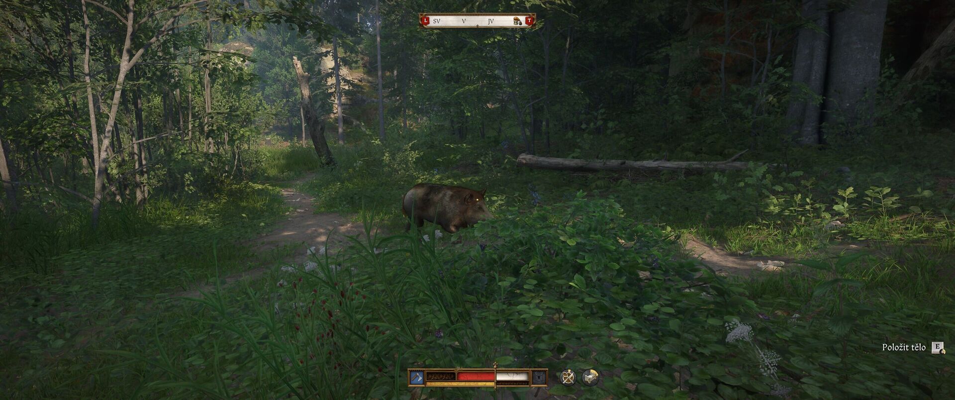 Kingdom Come: Deliverance II