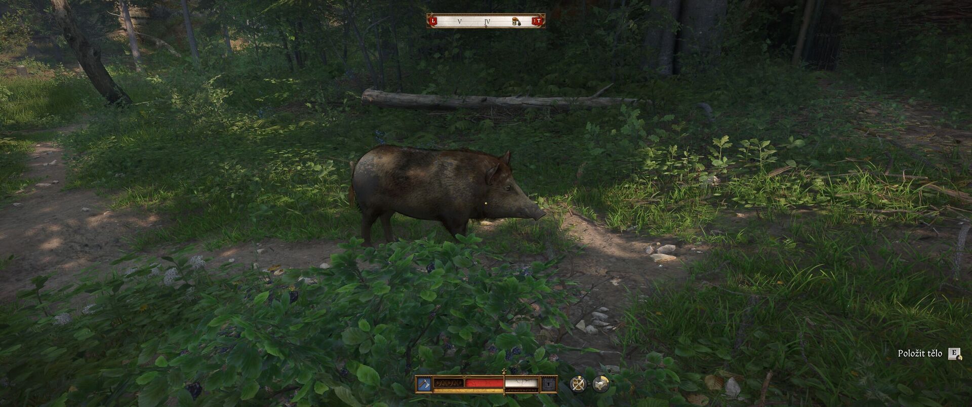 Kingdom Come: Deliverance II