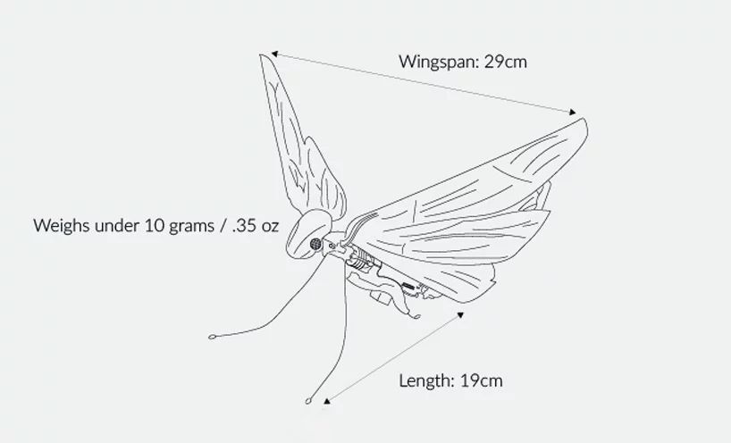 MetaFly