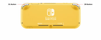 Nintendo Switch Lite
