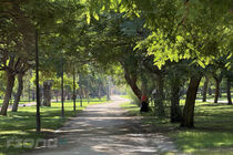 Park Turia na kole