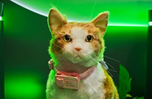 PetPhone
