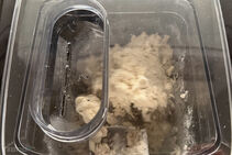 Philips Series 7000 Pastamaker HR2665/96