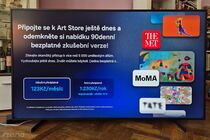 Samsung The Frame (QE65LS03F)