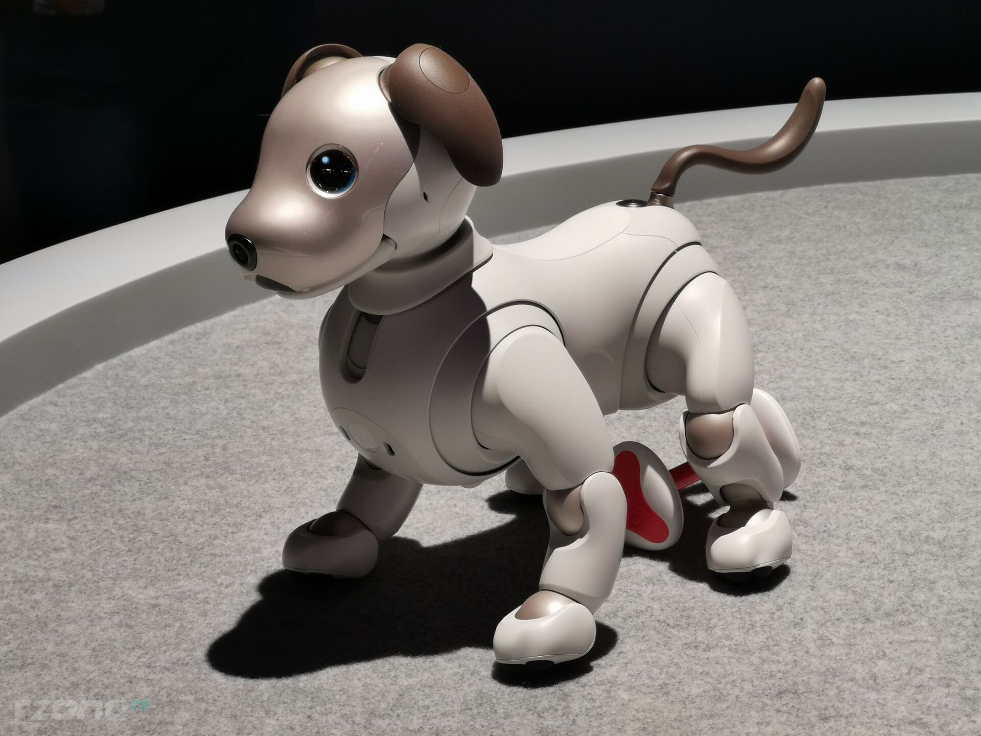 Sony Aibo