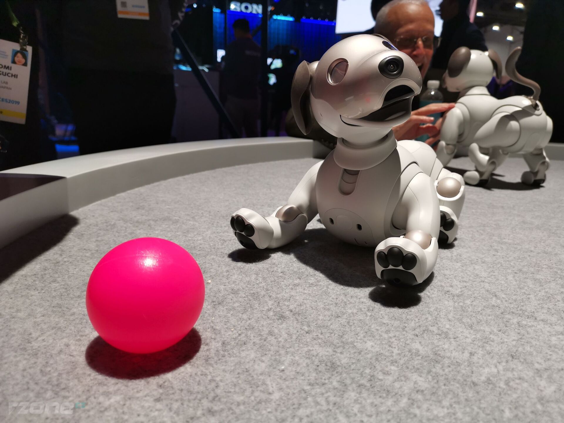 Sony Aibo