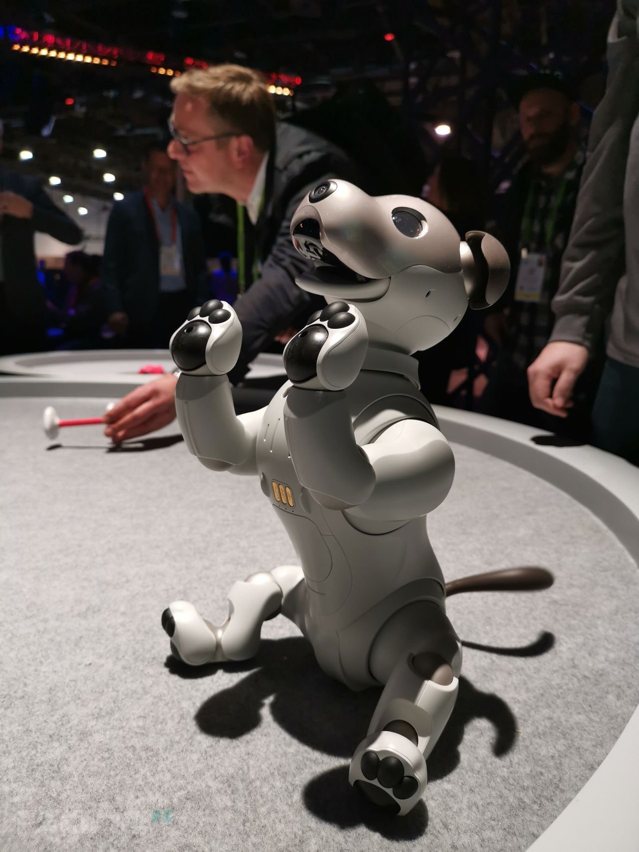 Sony Aibo