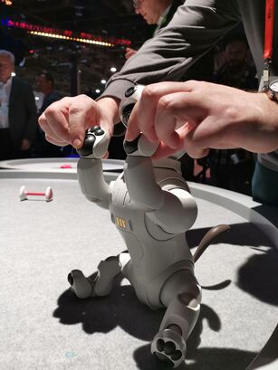 Sony Aibo