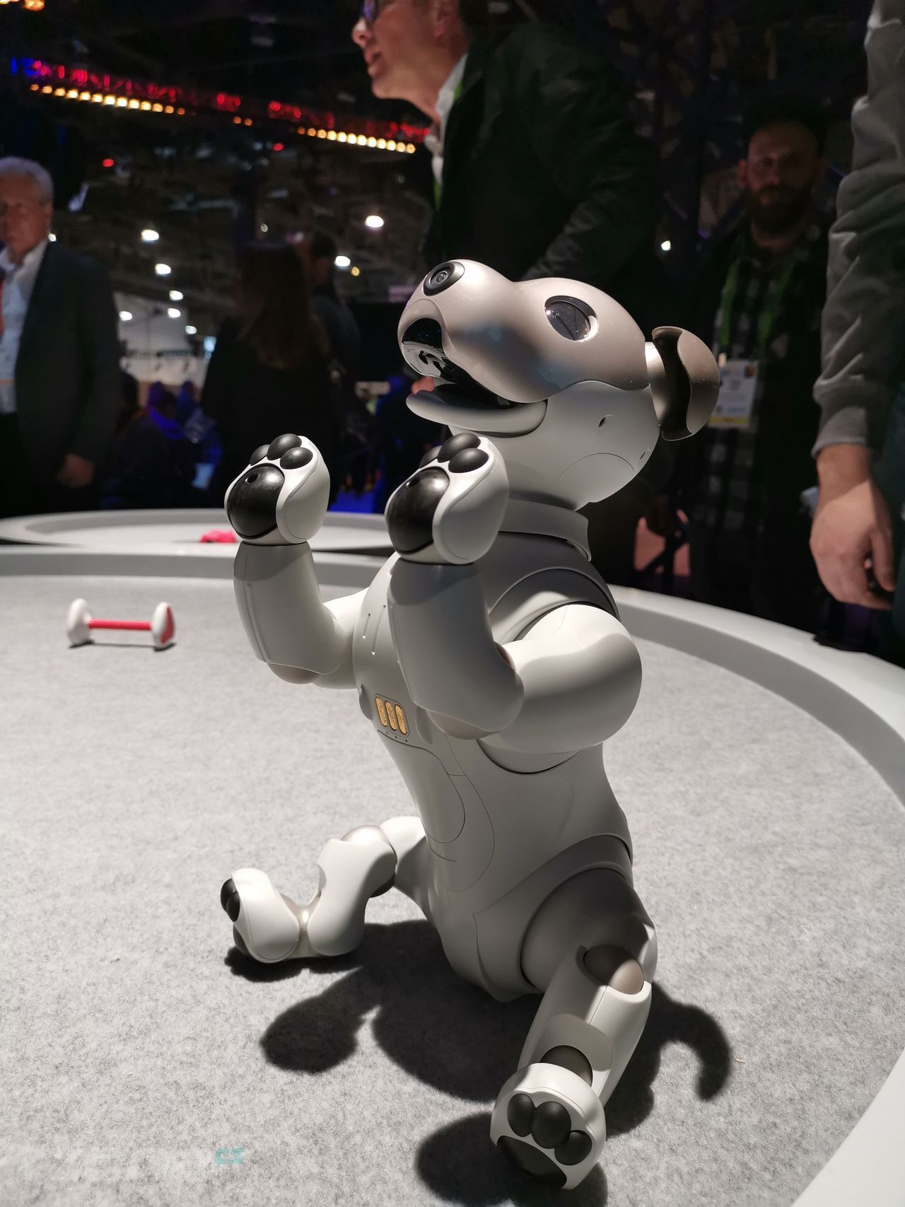 Sony Aibo