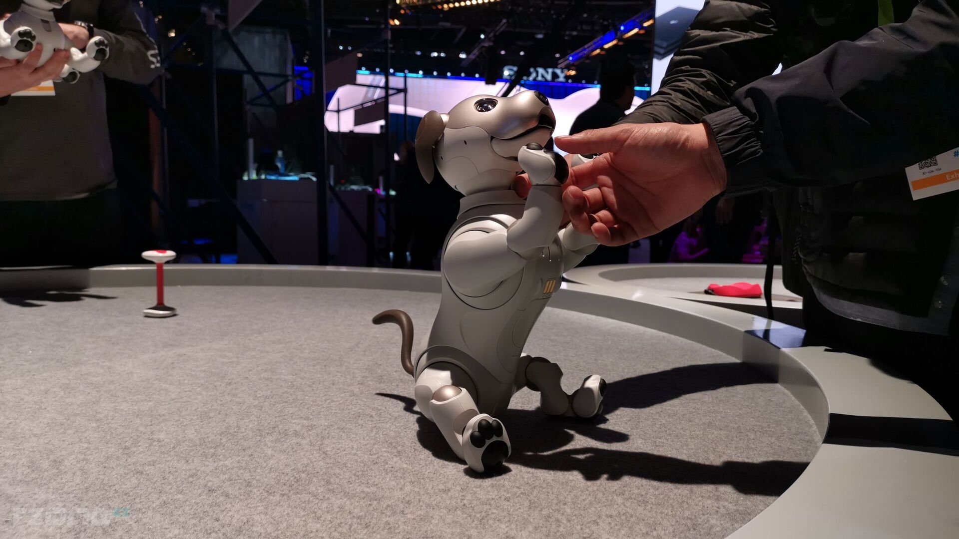 Sony Aibo