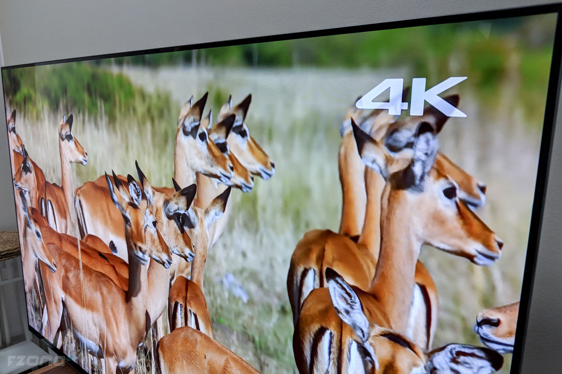 Sony Bravia AF8 OLED