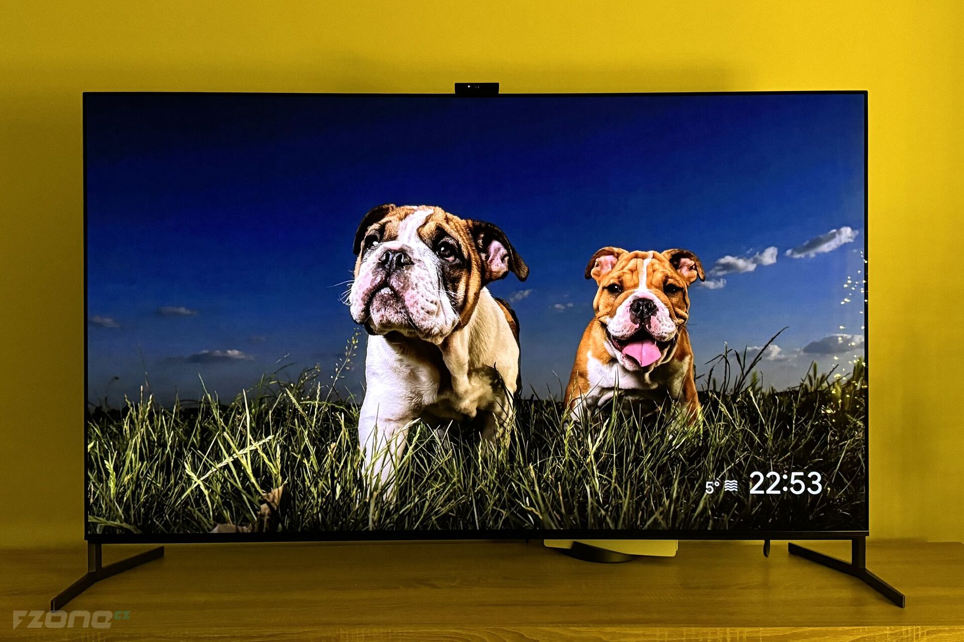 Sony Bravia XR-65A95L