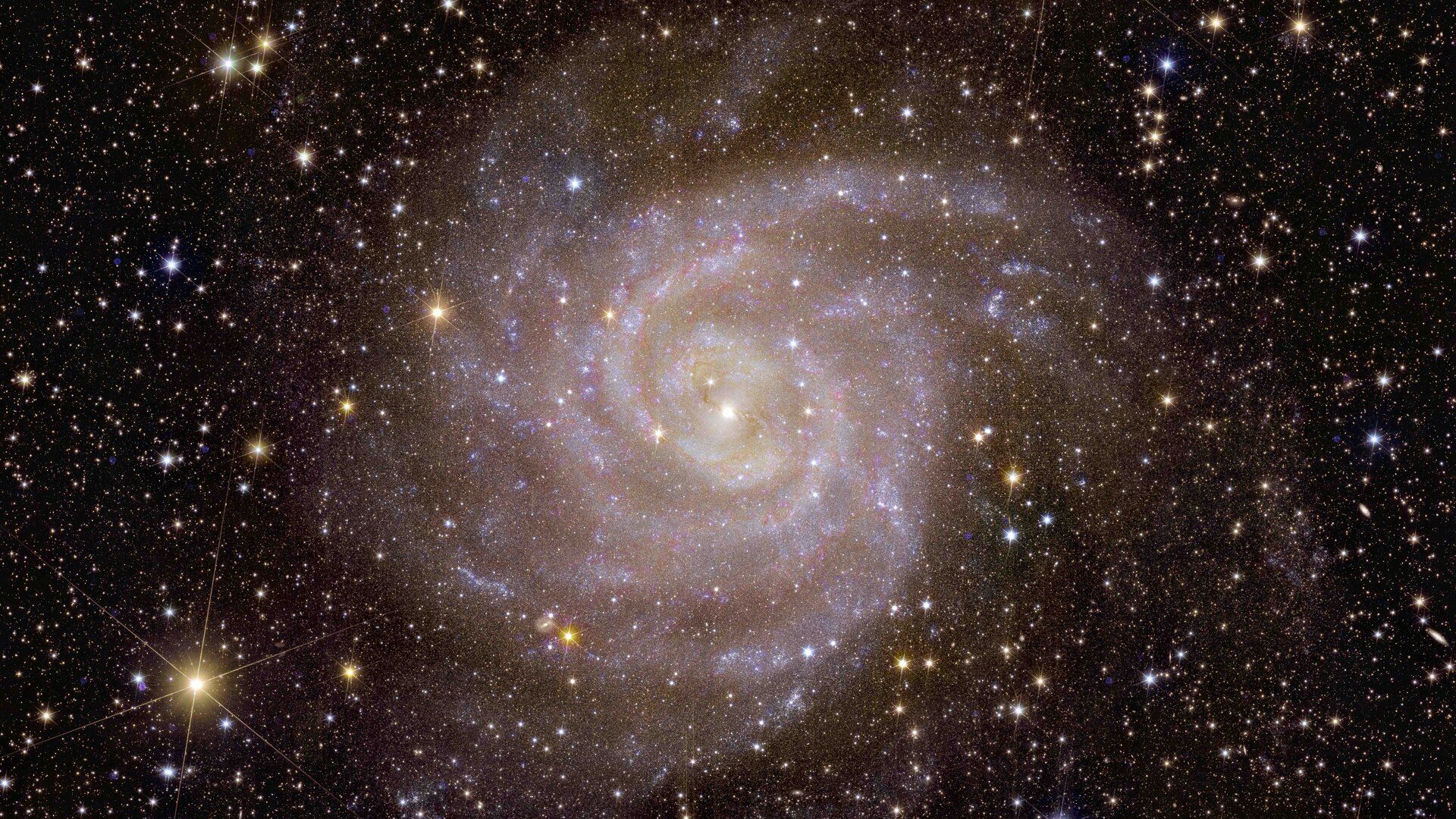 Spirální galaxie IC 342