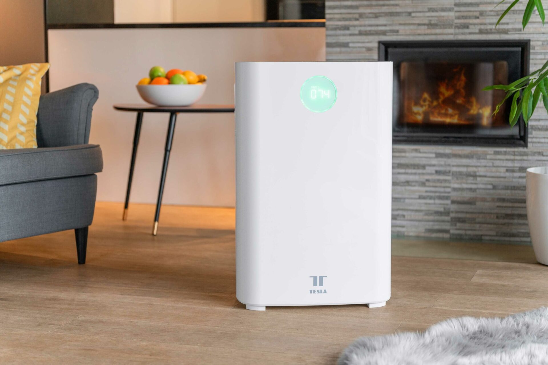 Tesla Smart Air Purifier Pro L