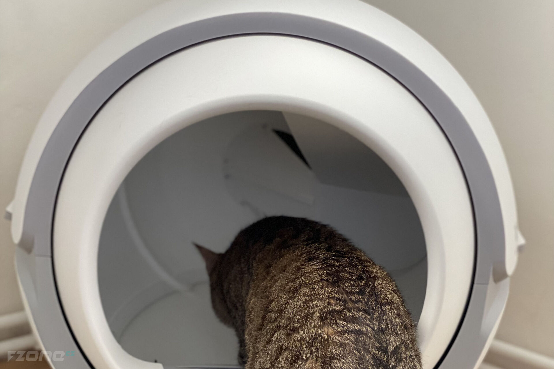 Tesla Smart Cat Toilet