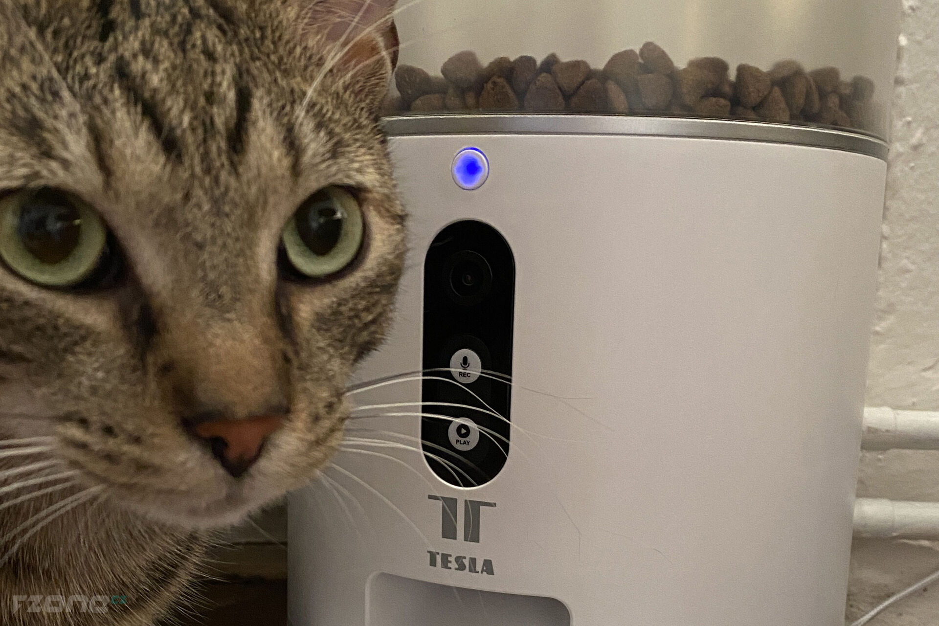 Tesla Smart Pet Feeder Camera