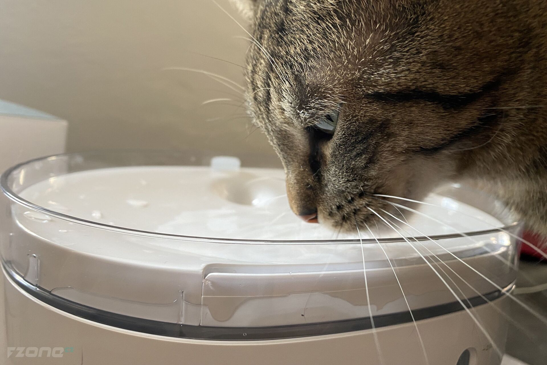 Tesla Smart Pet Fountain