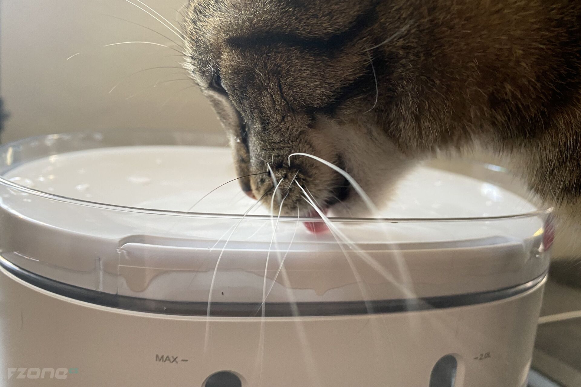 Tesla Smart Pet Fountain