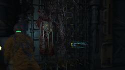 The Callisto Protocol