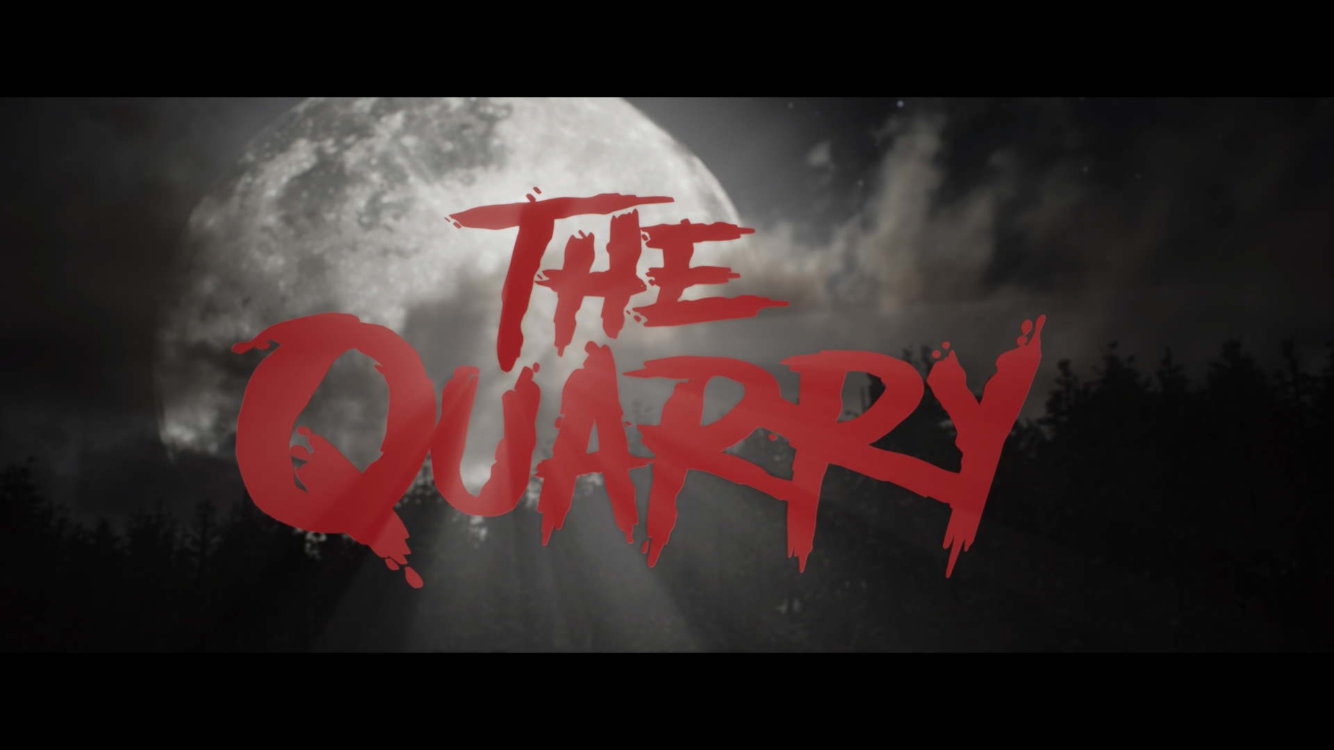 The Quarry