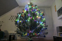 Twinkly Strings Special Edition