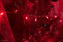 Twinkly Strings Special Edition